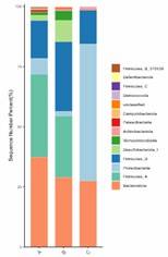 Distribution histogram illustrating the presence of resistance genes.